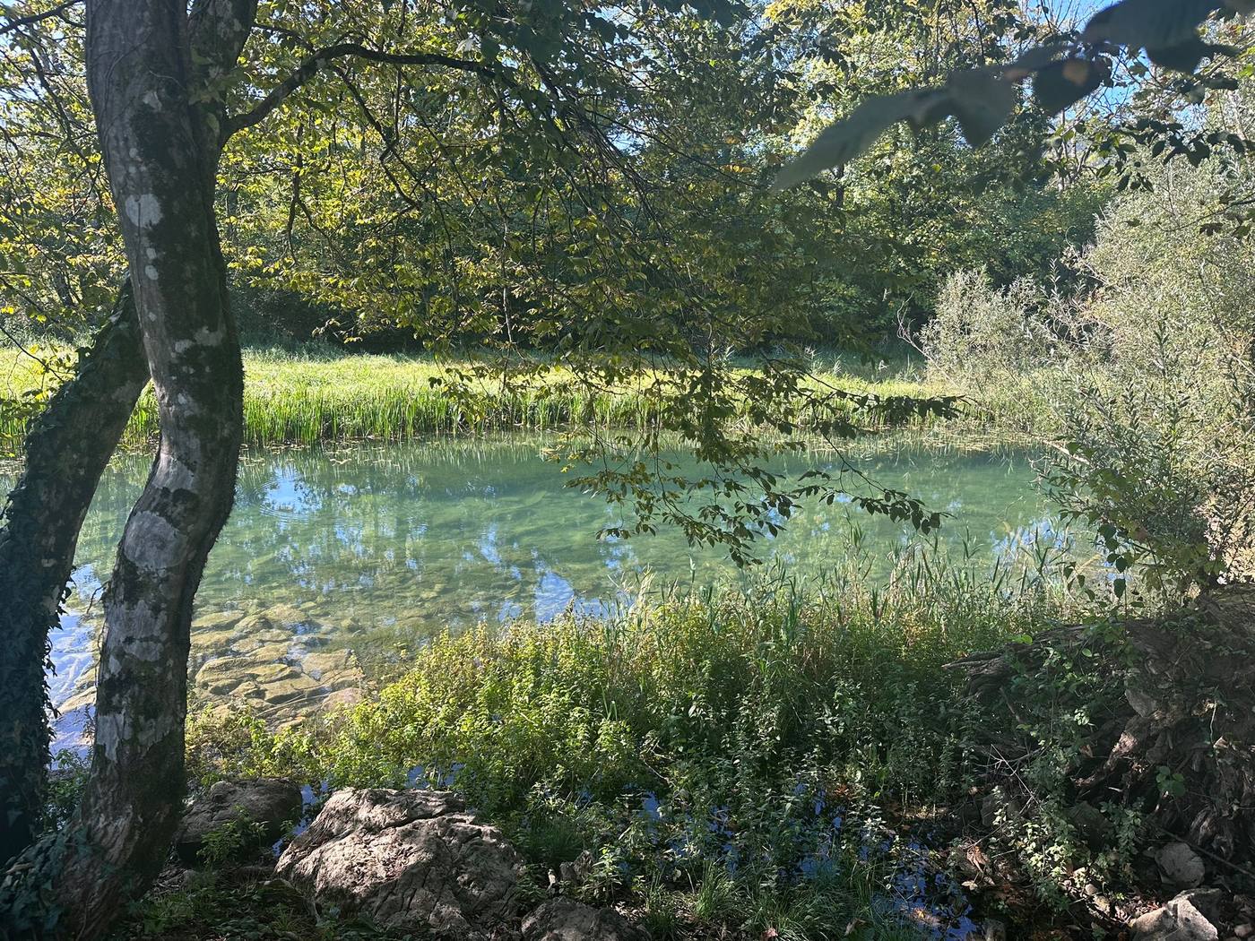 Prirodno jezerce u šumi na imanju Artemis